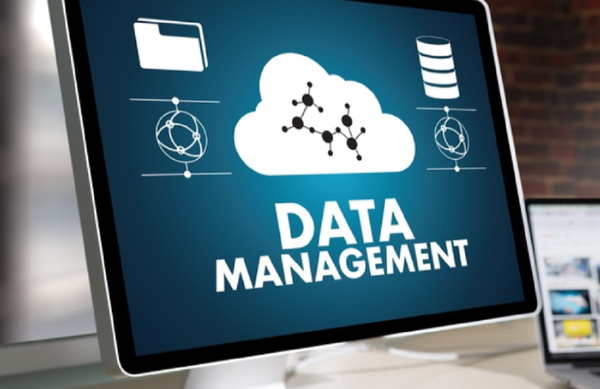 business-data-manager