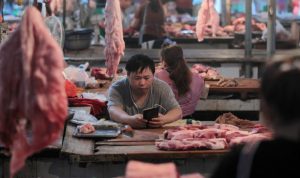mercato carne suina